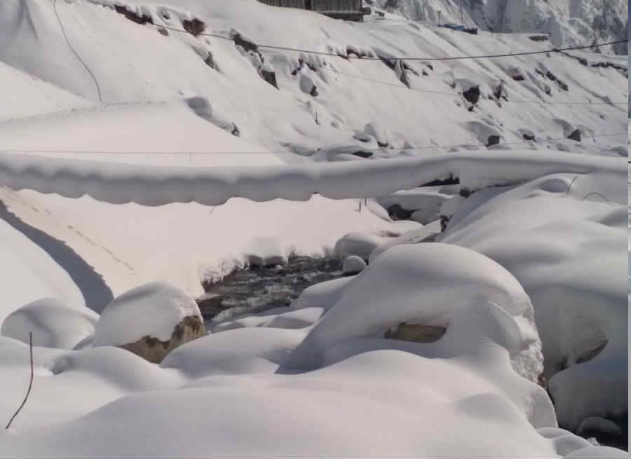 Latest snowfall in kedarnath